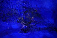 [ENTER FRAKTALE WELTEN GALERIE]